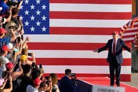 Trump UFC fight